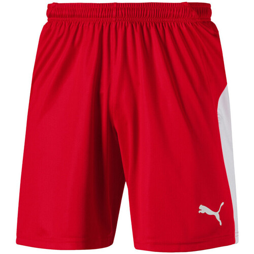 Vêtements Homme Shorts / Bermudas Puma 703431-01 Rouge