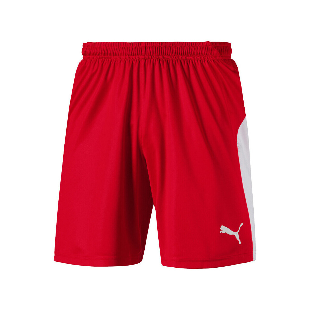 Vêtements Homme Shorts / Bermudas Puma 703431-01 Rouge