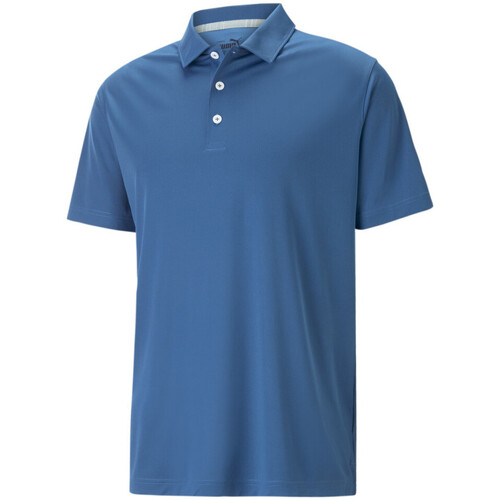Vêtements Homme T-shirts & Polos Puma 599120-37 Bleu