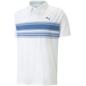 Vêtements Homme T-shirts & Polos Puma 538996-07 Blanc