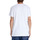 Vêtements Homme T-shirts manches courtes DC Shoes Nostalgic Blanc