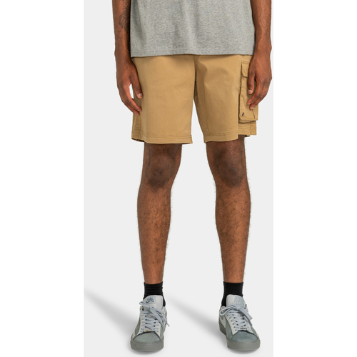 Vêtements Homme Shorts / Bermudas Element Pull Up Travel Vert