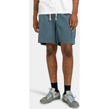 Vêtements Homme Shorts / Bermudas Element Utility Bleu