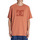 Vêtements Homme T-shirts manches courtes DC Shoes DC Star Pigment Dye Orange