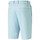 Vêtements Homme Shorts / Bermudas Puma 535522-16 Bleu