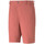 Vêtements Homme Shorts / Bermudas Puma 535522-18 Rouge
