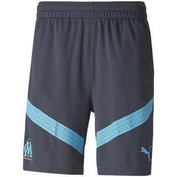 Vêtements Homme Shorts / Bermudas Puma 767274-02 Bleu