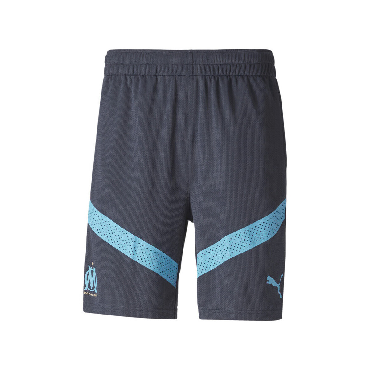 Vêtements Homme Shorts / Bermudas Puma 767295-02 Bleu