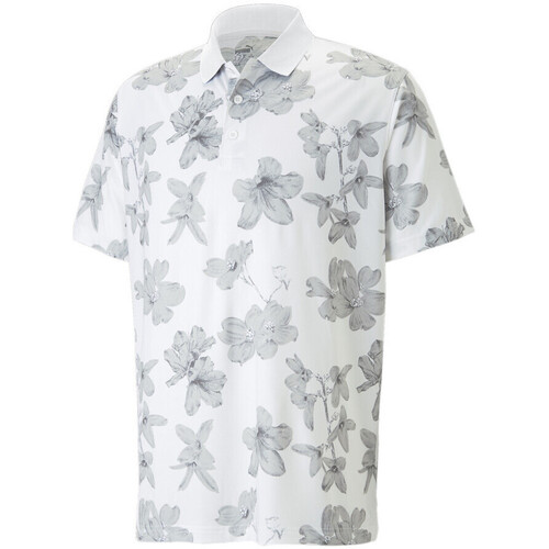Vêtements Homme T-shirts & Polos Puma 538753-02 Blanc