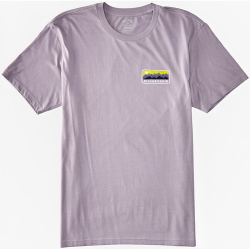 Vêtements Homme T-shirts manches courtes Billabong Range Violet