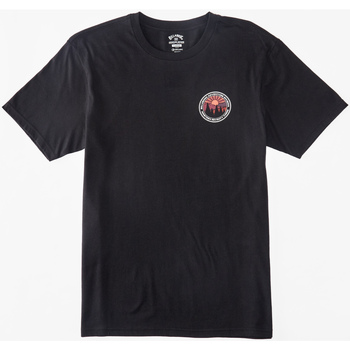 Vêtements Homme Débardeurs / T-shirts con sans manche Billabong Rockies Noir
