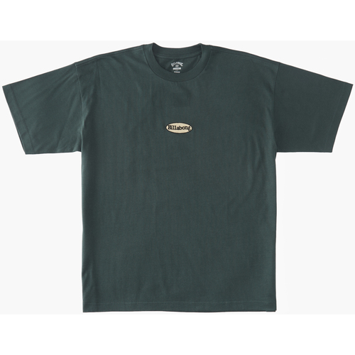 Vêtements Homme Débardeurs / T-shirts sans manche Billabong Blink Vert