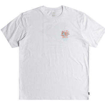 Vêtements Homme T-shirts manches courtes Billabong Take Care Blanc