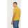 Vêtements Homme T-shirts & Polos Lee Cooper Polo BAKO Lemon Jaune