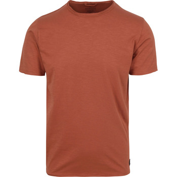 Vêtements Homme T-shirts & Polos Dstrezzed T-shirt Mc Queen Mélangé Rust Multicolore
