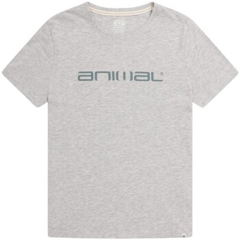 Vêtements Femme T-shirts manches longues Animal MW2448 Gris