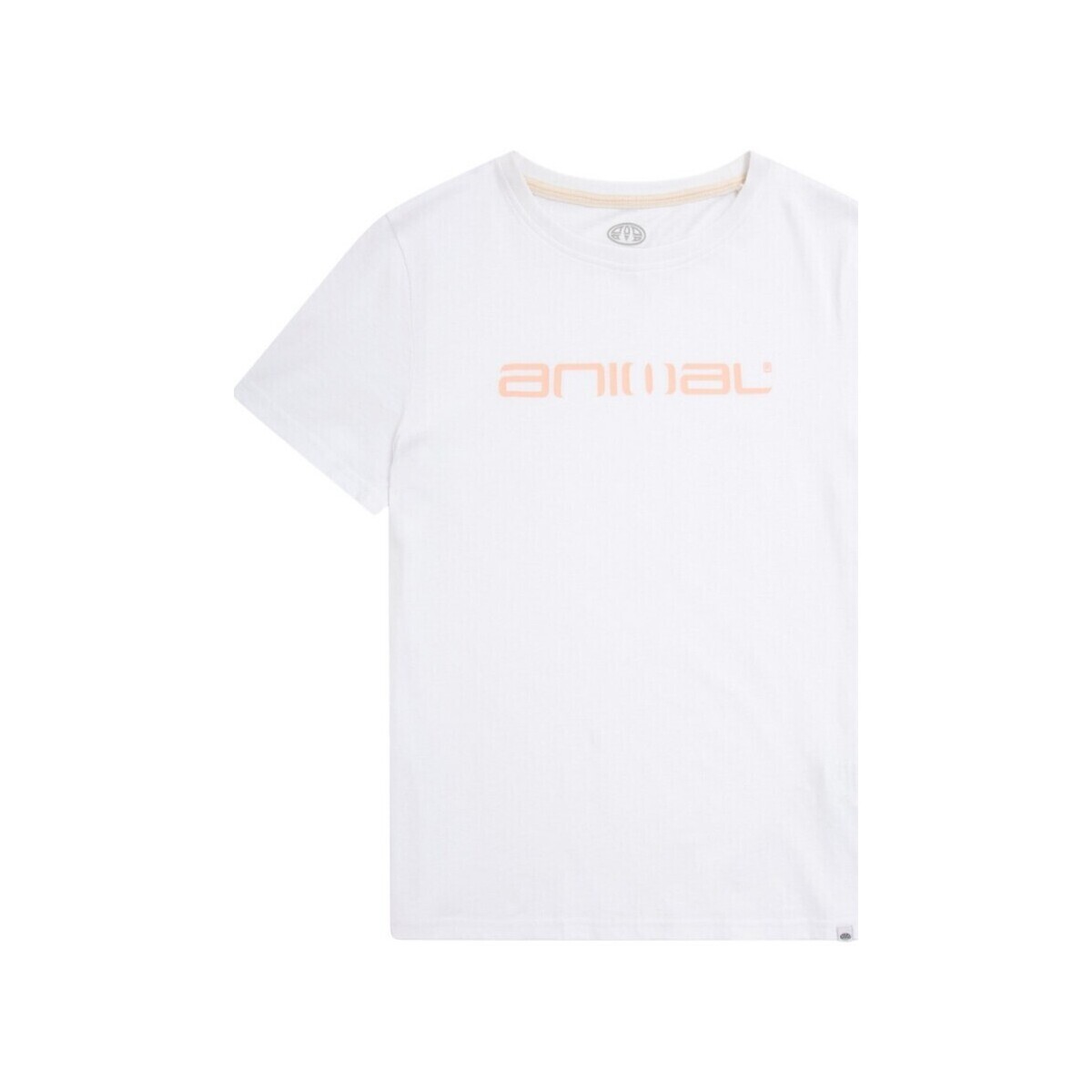Vêtements Femme T-shirts manches longues Animal Marina Blanc