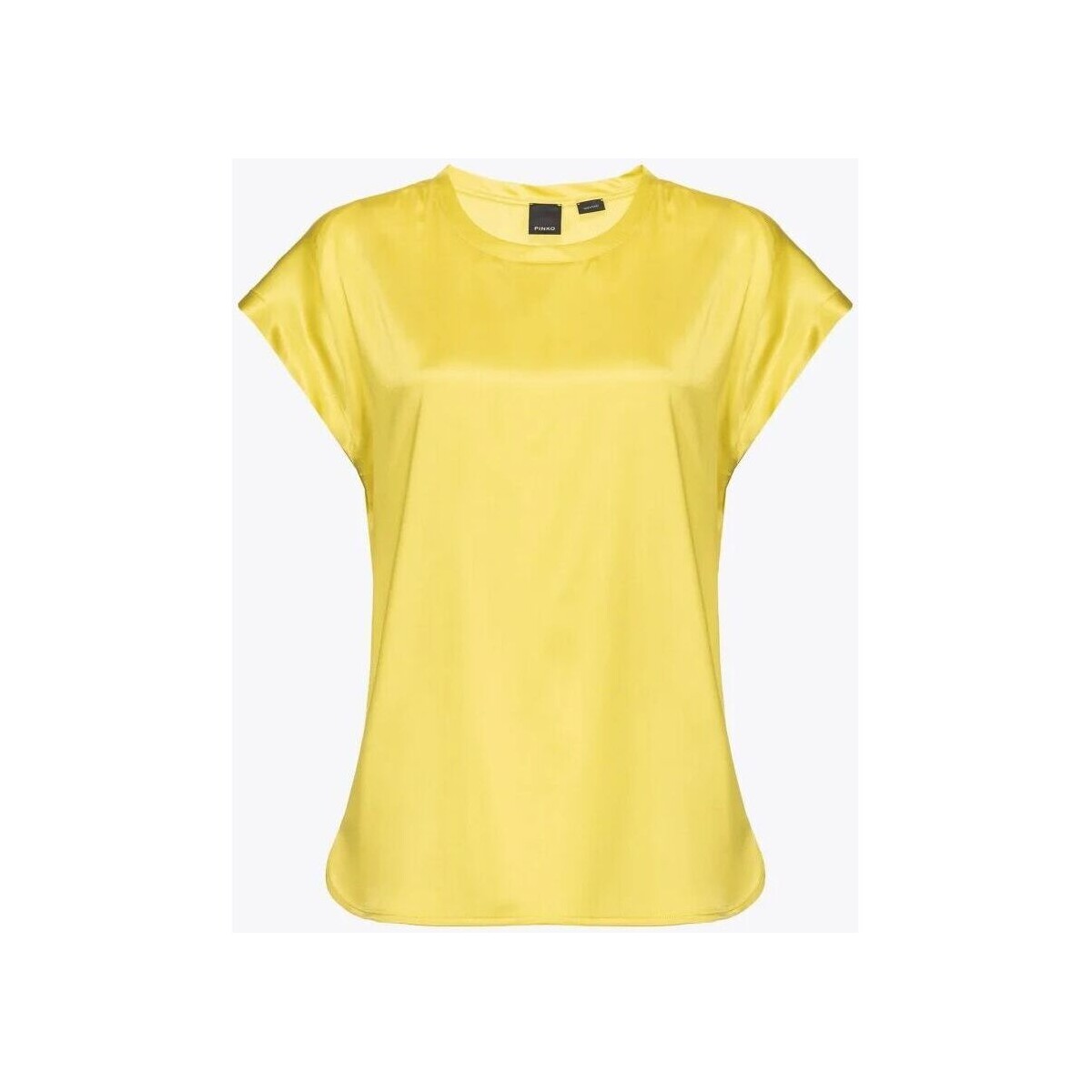 Vêtements Femme Chemises / Chemisiers Pinko FARIDA 100100 A1RJ-H17 Jaune