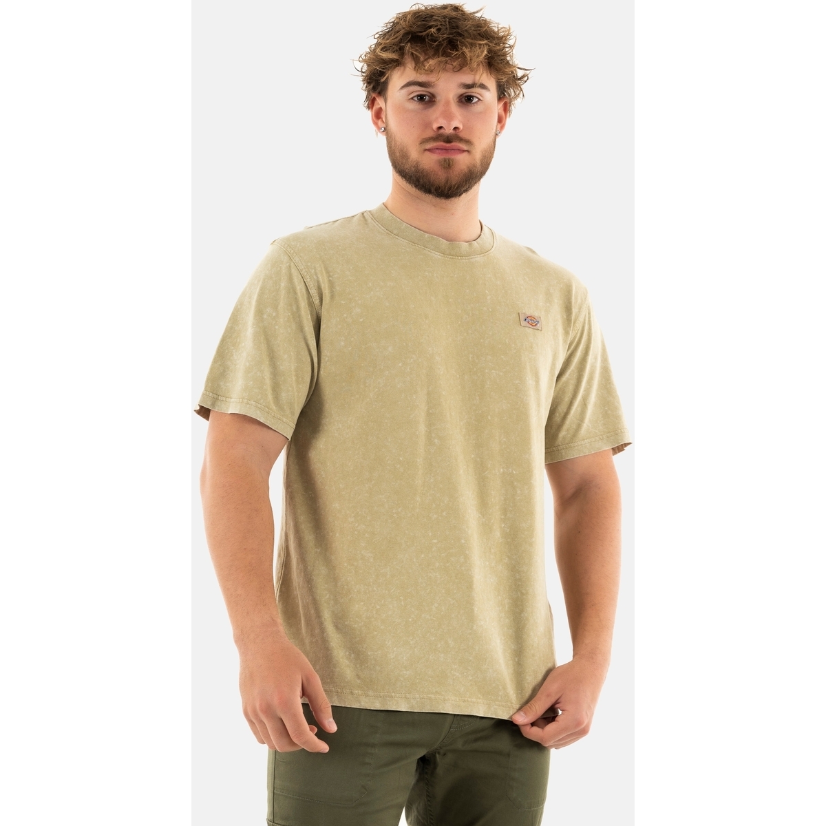 Vêtements Homme T-shirts seems manches courtes Dickies 0a4yro Beige