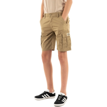 Vêtements Garçon Shorts / Bermudas Levi's 9ek797 Beige