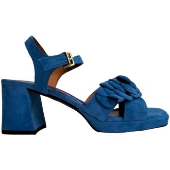 Chaussures Femme Sandales et Nu-pieds Legazzelle 804azzurro Azzurro