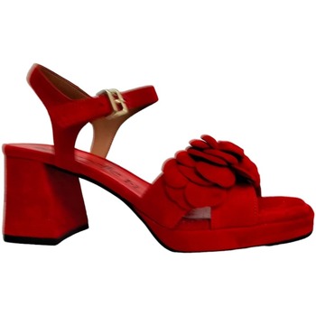 Chaussures Femme Sandales et Nu-pieds Legazzelle 804rosso-rosso Rouge