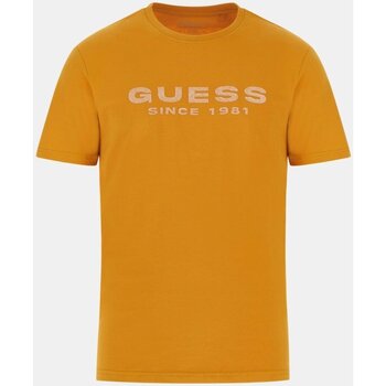 Vêtements Homme T-shirts manches courtes Guess M4GI61 J1314 Orange