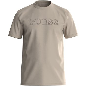 Vêtements Homme T-shirts manches courtes Guess Z2YI11 J1314 Gris