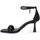Chaussures Femme Sandales et Nu-pieds Steve Madden BEL AIR BLACK Noir