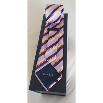 Vêtements Homme Cravates et accessoires Canali Cravates en soie italienne CANALI avec des rayures raffinées Multicolore