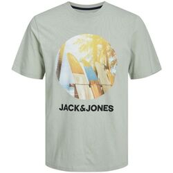Vêtements Garçon T-shirts & Polos Jack & Jones 12249870 NAVIN-DESERT SAGE Vert