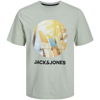 Vêtements Garçon T-shirts & Polos Jack & Jones 12249870 NAVIN-DESERT SAGE Vert