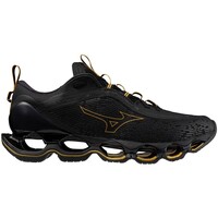 Chaussures Homme Running / trail Mizuno WAVE PROPHECY 13 Noir