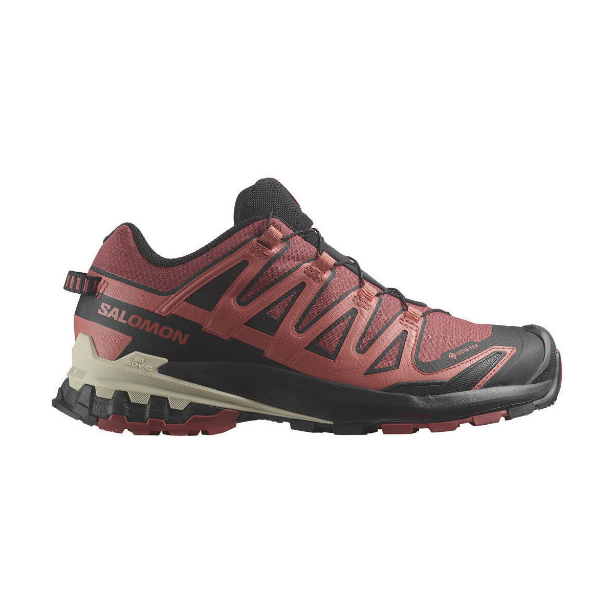 Chaussures Femme Running / trail Salomon XA PRO 3D V9 GTX W Rose