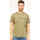 Vêtements Homme T-shirts & Polos Richmond X T-shirt à col rond  avec logo contrasté Vert