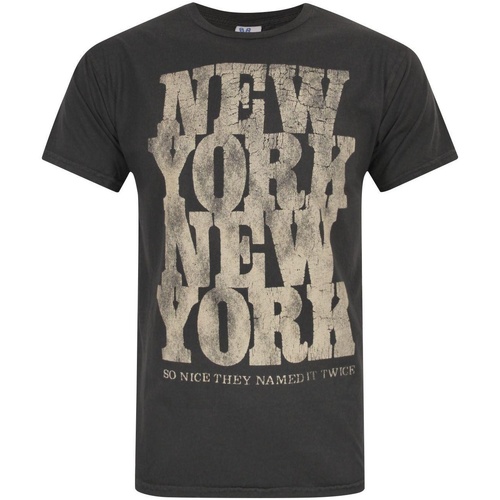 Vêtements Homme T-shirts manches longues Junk Food New York So Nice They Named It Twice Noir