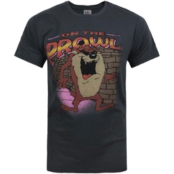 Vêtements Homme T-shirts manches longues Junk Food Taz On The Prowl Multicolore