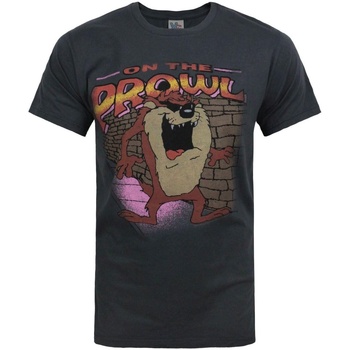 Vêtements Homme T-shirts manches longues Junk Food Taz On The Prowl Multicolore