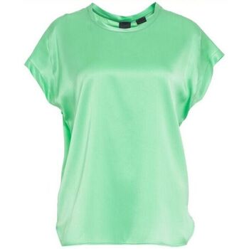Vêtements Femme Chemises / Chemisiers Pinko FARIDA 100100 A1RJ-T38 Vert