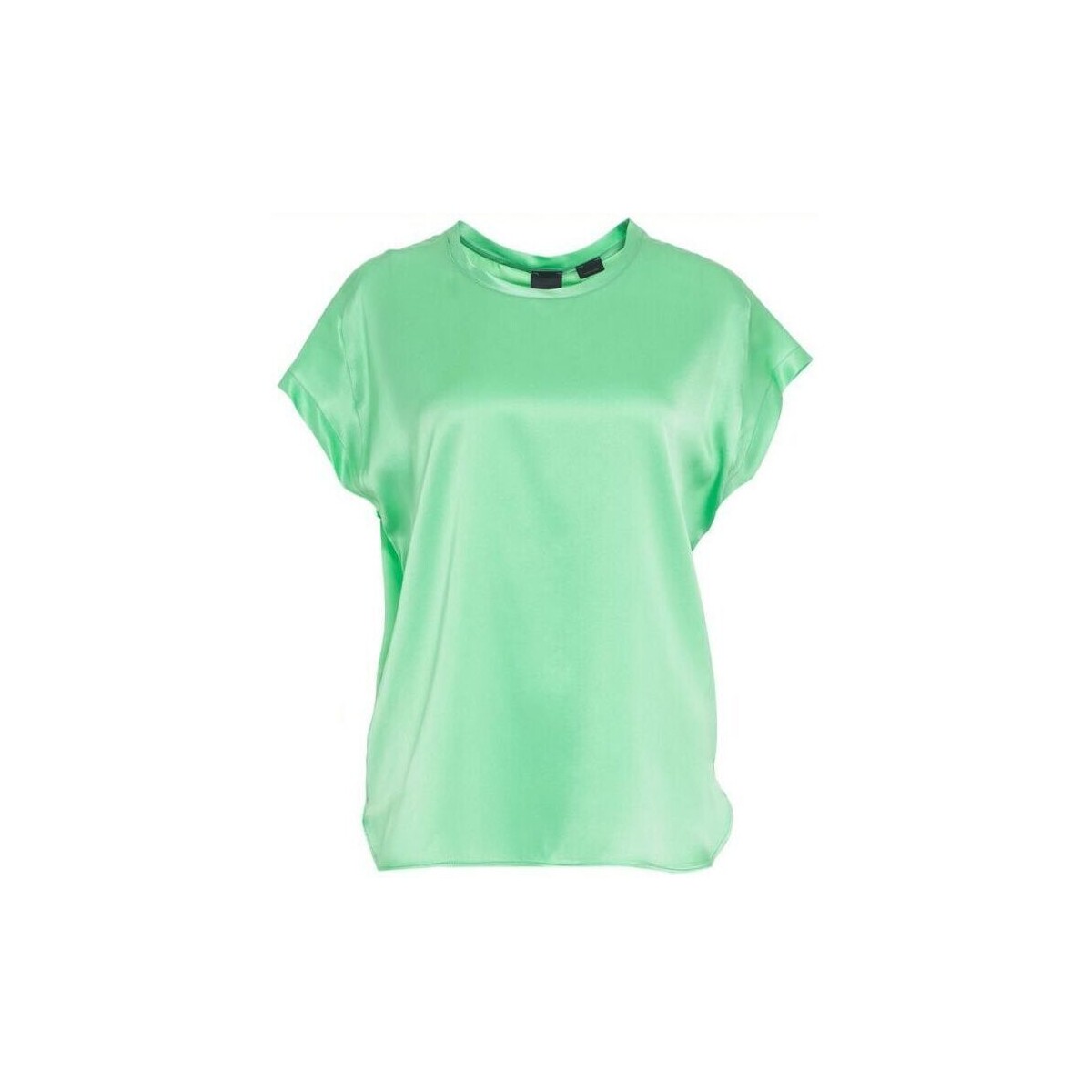 Vêtements Femme Chemises / Chemisiers Pinko FARIDA 100100 A1RJ-T38 Vert
