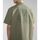 Vêtements Homme Chemises manches longues Napapijri G-BOYD NP0A4HQ4-GAE GREEN LICHEN Vert