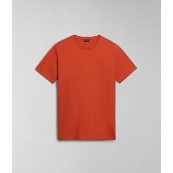 Vêtements Homme T-shirts & Polos Napapijri SALIS SS SUM NP0A4H8D-621 BURNT RANGE Orange
