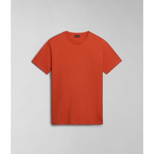 Vêtements Homme T-shirts & Polos Napapijri SALIS SS SUM NP0A4H8D-621 BURNT ORANGE Orange