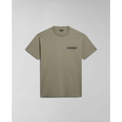 Vêtements Homme T-shirts & Polos Napapijri S-KOTCHO NP0A4HTV-GAE GREEN LICHEN Vert