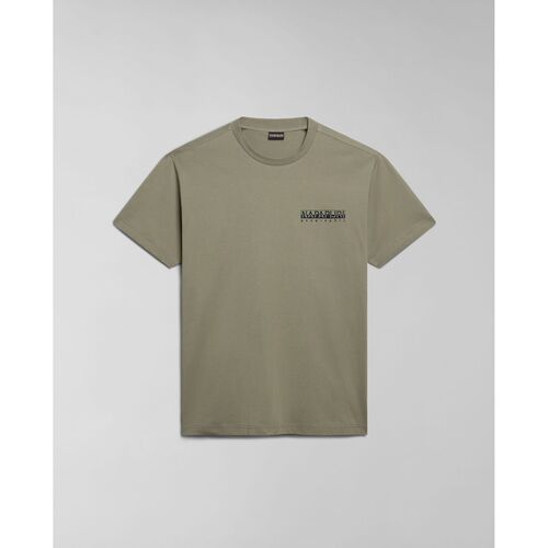Vêtements Homme T-shirts & Polos Napapijri S-KOTCHO NP0A4HTV-GAE GREEN LICHEN Vert