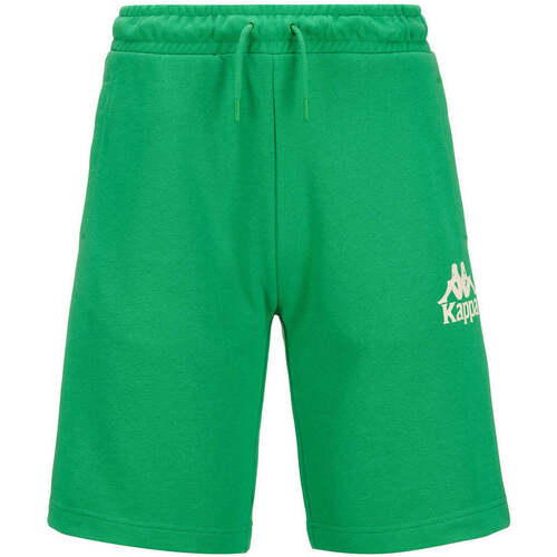 Vêtements Homme Shorts / Bermudas Kappa T-shirt Ardlo Ocon Bwt Alpine Vert