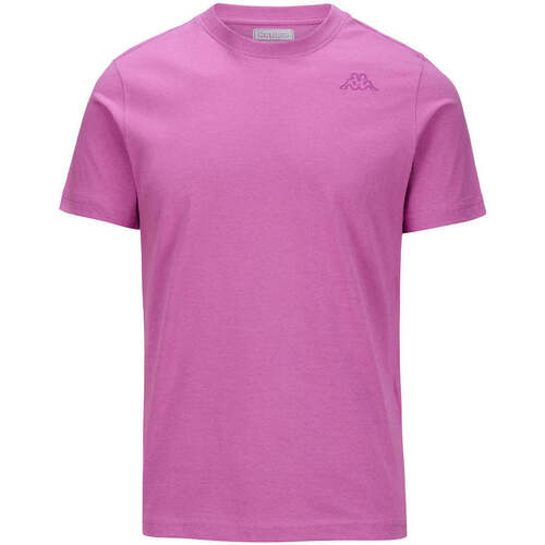 Vêtements Homme T-shirts manches courtes Kappa T-shirt Cafers Slim Violet