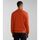 Vêtements Homme Sweats Napapijri BALIS CREW SUM 2 NP0A4H89-A62 ORANGE BURNT Orange