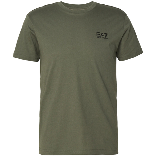 Vêtements Garçon T-shirts manches courtes Emporio Armani EA7 8NPT51-BJ02Z Vert