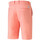 Vêtements Homme Shorts / Bermudas Puma 535522-14 Rose